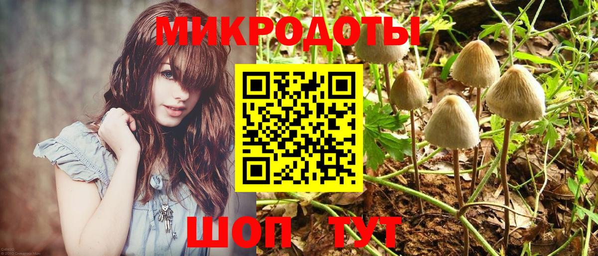Галлюциногенные грибы прущие грибы Луховицы