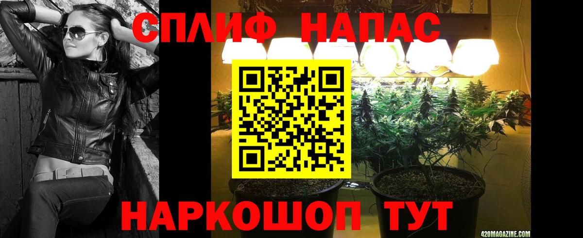 Канабис OG Kush Луховицы